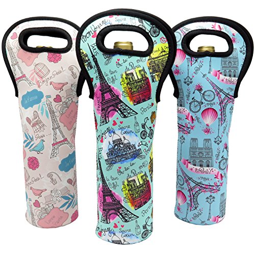 Wine Tote Carrier Bag / Purse For Champagne, Chardonnay, Water Bottles (Paris Designs)