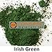 Conspec 2-oz Irish Green Powdered Color for Concrete, Cement, Mortar, Grout, Plaster, Colorant, Pigment