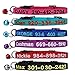 FlowerTown Cat Collar,Personalized Embroidered Nylon Cat ID Collars with Bell - Custom Text with Pet Name and Phone Number ... primary