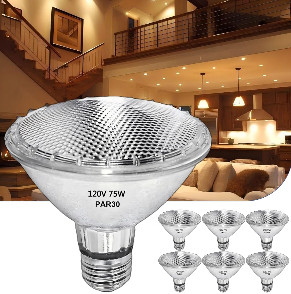 RAGFOZ Par30 Short Neck Halogen Flood Light Bulbs,6 Pcs 120V 75W ...