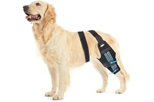 TURFSON Dog Knee Brace for Torn ACL Hind Leg - Orthopedic Rear Leg Wrap with 2 Metal Stabilizers for Support, for Small Medium Large Dogs, for Arthritis, Luxating Patella, and Joint Injury Recovery