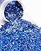 Chunky Cosmetic Holographic Glitter I Body, Face & Hair Safe I 16 pack + 1 glitter primer (pastels)