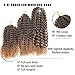 8 10 12 Inch 3pc/pack Kinky Curly Twist Crochet Braids Mali Bob Afro Crochet Hair Ombre Crochet Braiding Marleybob Jerry Curly Weaves 3Packs (T27)