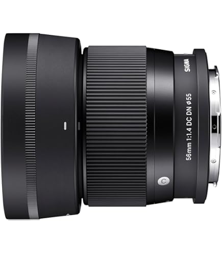 Amazon.com : SONY 55mm F1.8 Sonnar T FE ZA Full Frame Lens