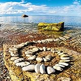 Image de Zen Landart (170177)