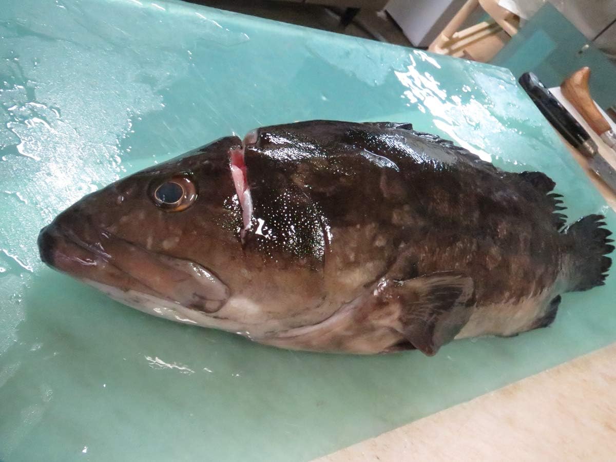 Amazon 幻の魚 天然本クエ 鍋用切り身 アラ 冷凍 和歌山 福井鮮魚 ノーブランド品 鮮魚 通販