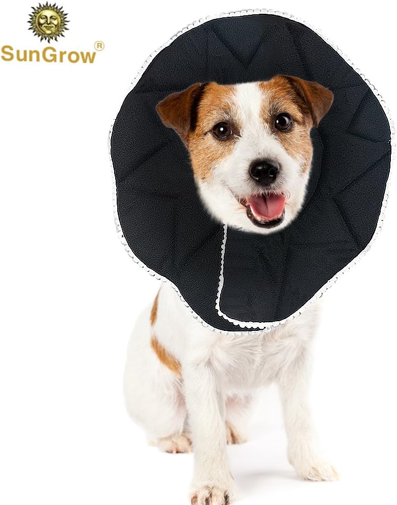 Amazon Com Sungrow Recovery Collar For Dogs 12 To 14 Inches