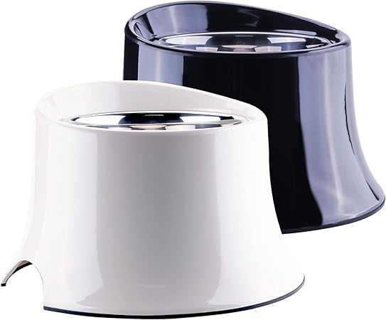 siamese x kittens for sale