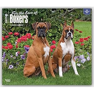 Boxers, For the Love of 2017 Deluxe (Multilingual Edition)