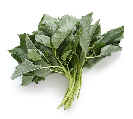 Planthub Egyptian Spinach, Jute Seeds, Saluyot, Molokhia, Corchorus olitorius, Vegetable Seed - Pack of 1000 Seeds.