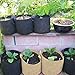 Oppolite 24-Pack 2 Gallon Tan Grow Bags Pots Heavy Duty Fabric Aeration Fabric Pots Grow Bags W/NO Handles (24, 2 Gallon)thumb 4
