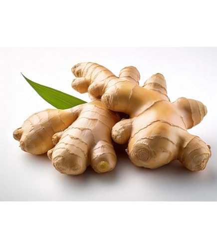 Amazon.com: Fresh Ginger Root 7oz (200g) – Whole Raw Ginger