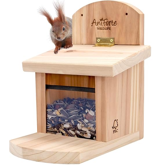 AniForte Eichhörnchen Futterhaus inkl. Futter - Wetterfest aus unbehandeltem FSC Holz - Sozial und Umweltgerecht, Eichhörnche