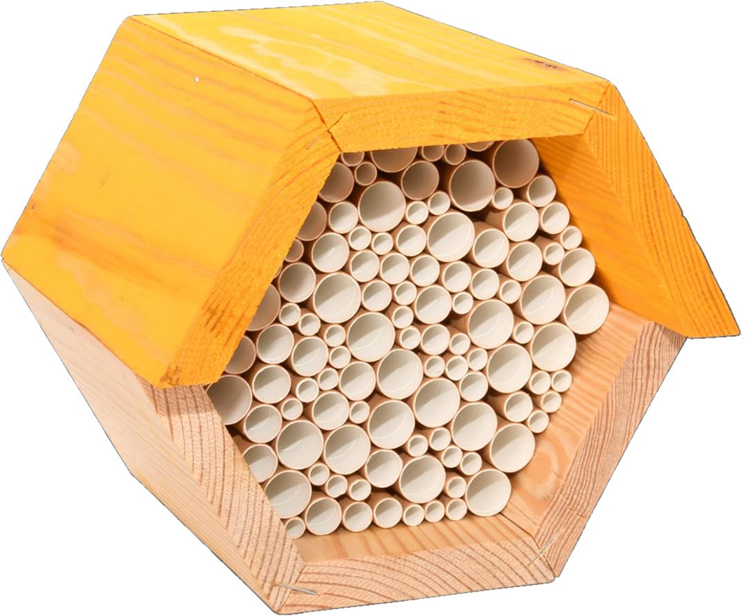 Fallen Fruits Bee House HEXAGON