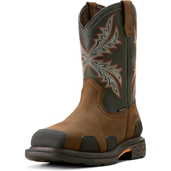 Amazon.com | Ariat Men display picture 1