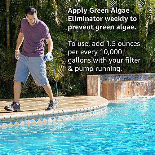 Clorox Pool&Spa Green Algae Eliminator2 - Image 3