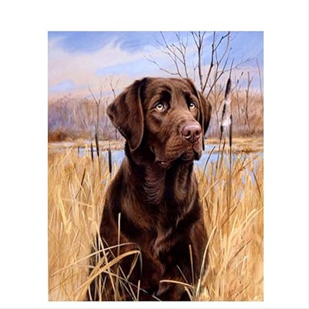 labrador paint by numbers
