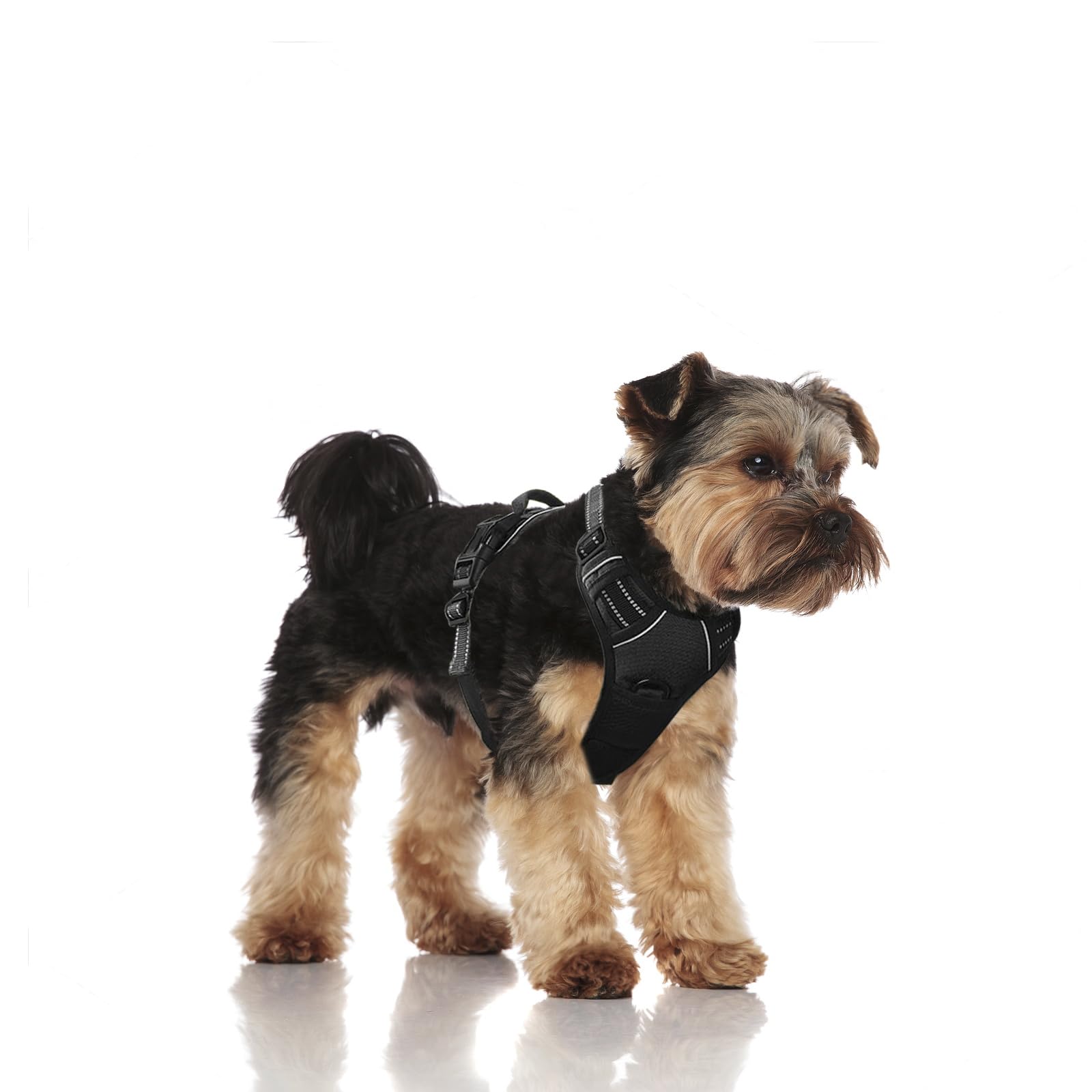 Vnvnvnv Dog Harness for Small Dogs, No Pull Anti-Pull Heavy Duty Adjustable Vest with 2 Leash Clips, Reflective Strips Safety Design for Walking, Training, Hiking (Small, Black)