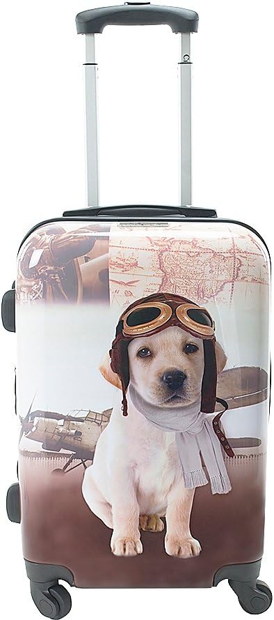 chariot luggage dog