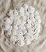 Tumbler Home Small Natural White Sand Dollars 50 pcs - Wedding - Sea Shell Craft 1 1/4