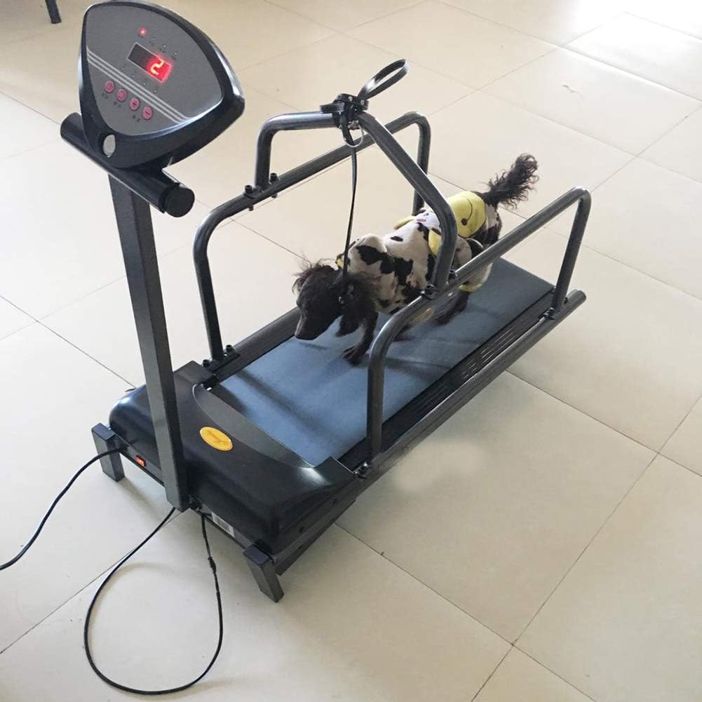 Pet Treadmill Animal Treadmill Dog Supplies Puppy Treadmill, Treadmills