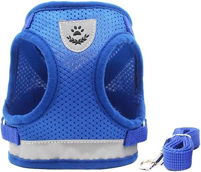 Amazon Sehoo 犬ハーネスメッシュ小中型犬リードペット胴輪通気可調節猫用首輪かわいい ブルー S Sehoo ベーシック首輪 通販