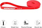 nooncrazy Resistance Bands Set 5 Levels with Handles Door Anchor Training Poster view 3