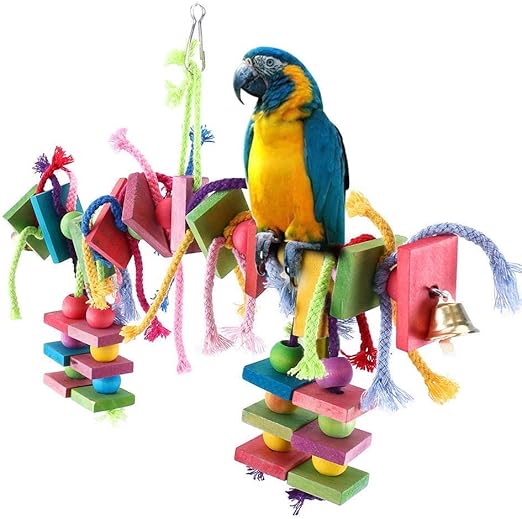 macaw swing