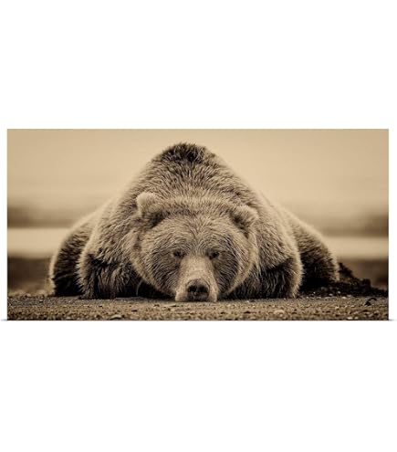 Amazon.com: GREATBIGCANVAS Deep Sleep Canvas Wall Art, Bear Home