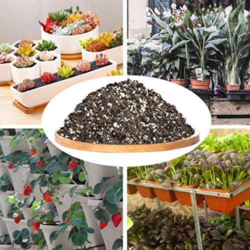 3 Organic+Succulent+Cactus+Draining+Pre+Mixed