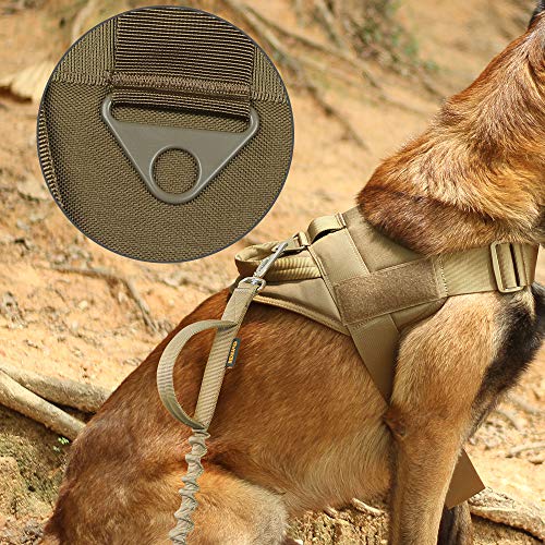 spanker tactical dog