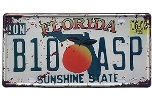 ROOKOPR Vintage Florida License Plate Aluminum Novelty Car Decor Licen se Plat ES 12"x6" Front of Car Decorative Retro Rusty Licens e P Late for Men Women Car-09