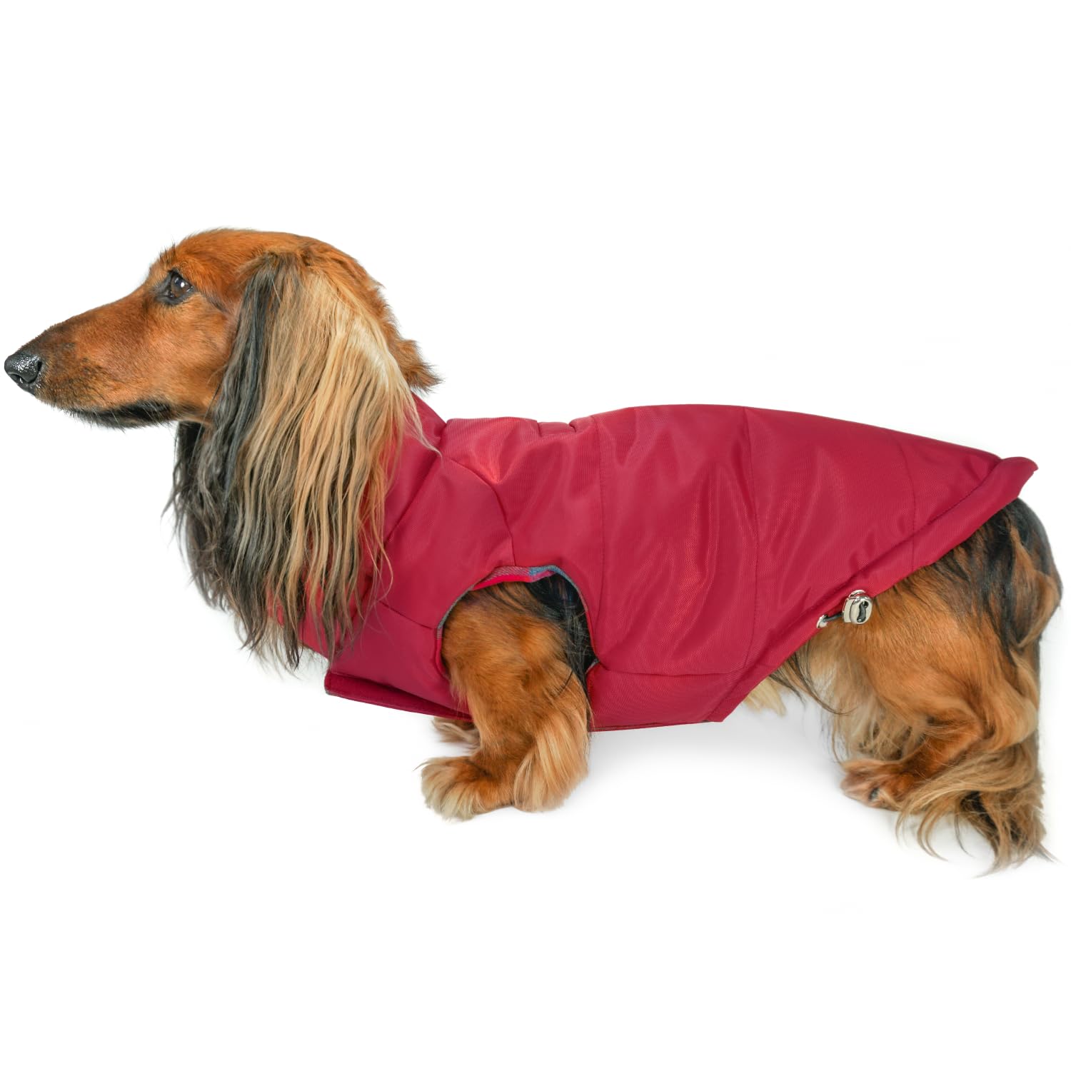 DJANGO Reversible Puffer Dog Coat – Warm Winter Dog Jacket & Water-Repellent Insulated Dog Coat with Harness Hole, Windproof, Adjustable Fit for Small & Medium Dogs, Dachshunds – Lava Red, X-Small