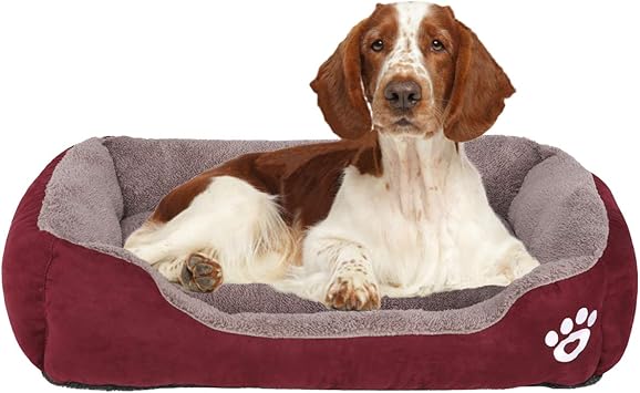 amazon xl dog bed