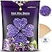 Hard Wax Beans(1.1 LB) - Anreacho Wax Beans, Full Body Wax Beans, Hair Removal Hard Wax with 10 spatulas for Face, Bikini, Legs, Underarm, Back, Chest(Lavender)