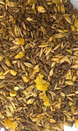 Das Heimtier Center HTC Ziegenmüsli 25Kg