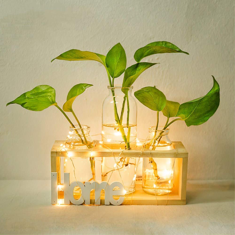 SUNRUNERS Bottel Light Glass Planter Hydroponics Terrarium with Wooden Stand for Home Office Decor Raw Wood 3 Terrarium