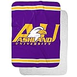 Ashland University Eagles Primary Logo Stripes
