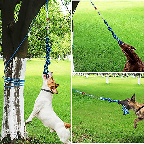 pitbull tree rope