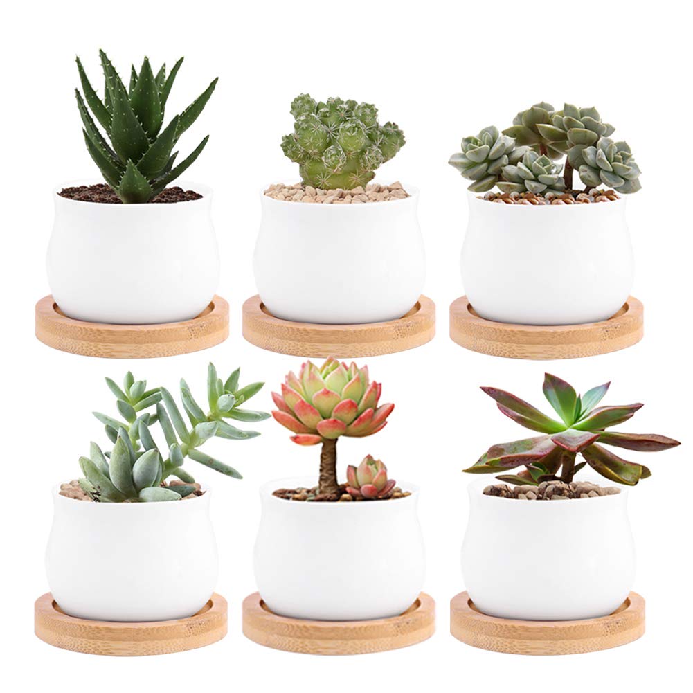 Best drill hole in ceramic planter