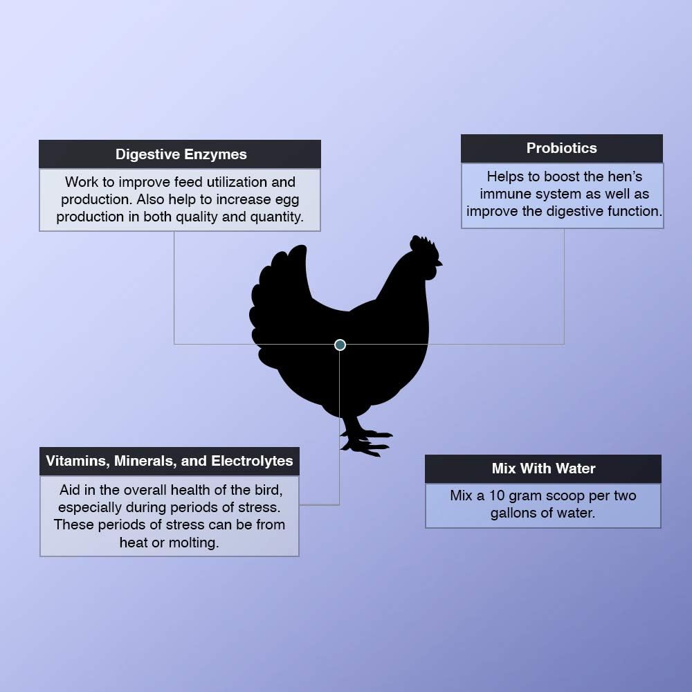 Animal Health Solutions - Hen Boost Probiotics, Help Boost Immunity & Hydration in Full Grown Chickens (8 oz): Garden & Outdoor
