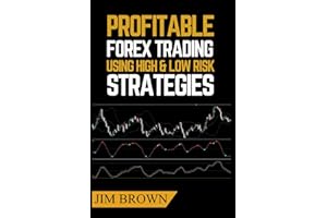 Profitable Forex Trading Using High & Low Risk Strategies