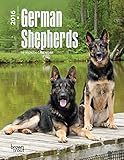 German Shepherds 2016 Engagement (Multilingual Edition)