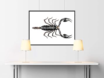 eminence vanilla latte