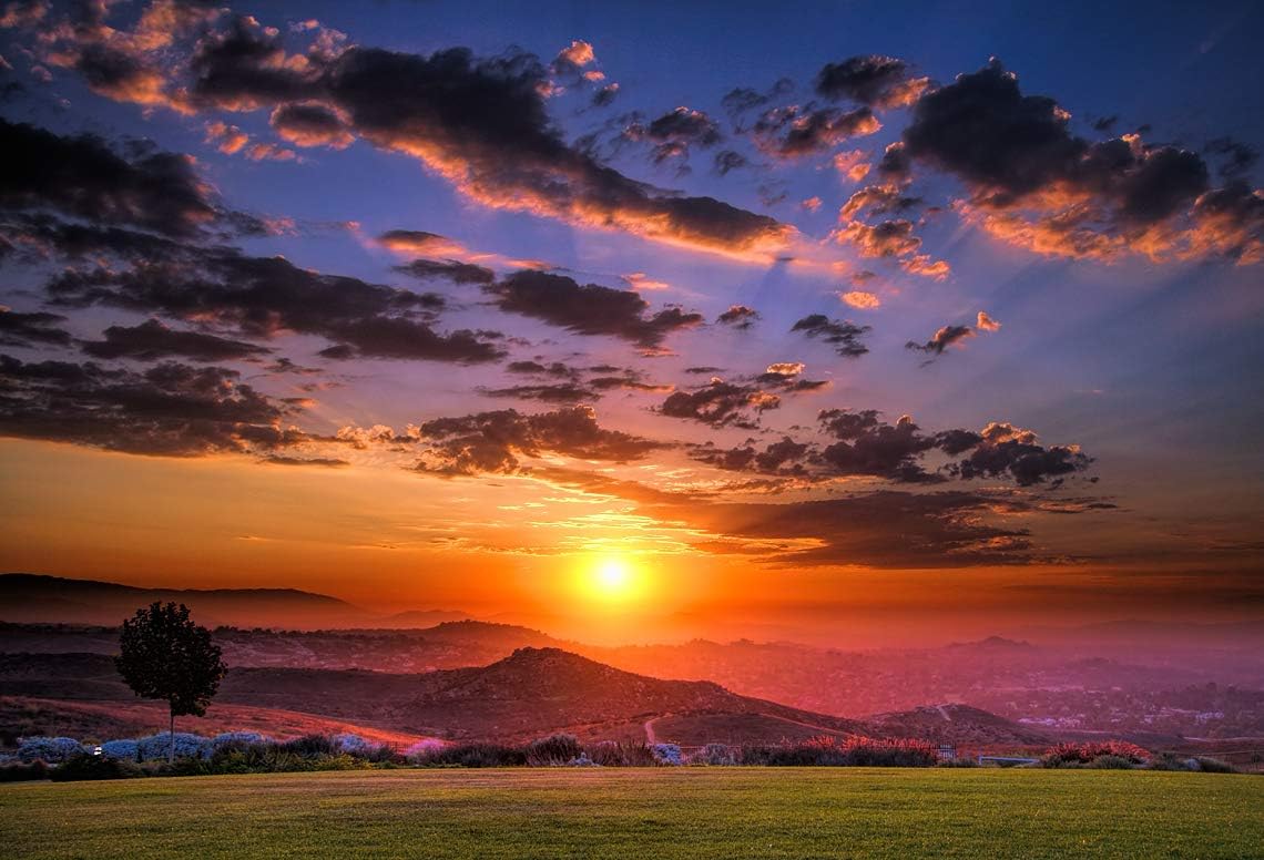 Amazon Co Jp 5d Diyダイヤモンド刺繡塗装 夕焼け草原の風景 プレプリントキャンバス ダイヤモンドアーティストの家の装飾50x60cm ホビー