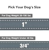 Taglory Dog Leash for Medium Large Dogs Reflective Padded Handle 2.5 cm x 180 view 4