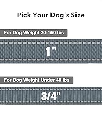 Taglory Dog Leash for Medium Large