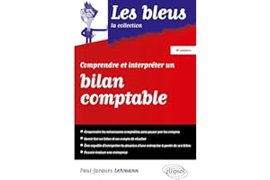 COMPRENDRE ET INTERPRÉTER UN BILAN COMPTABLE