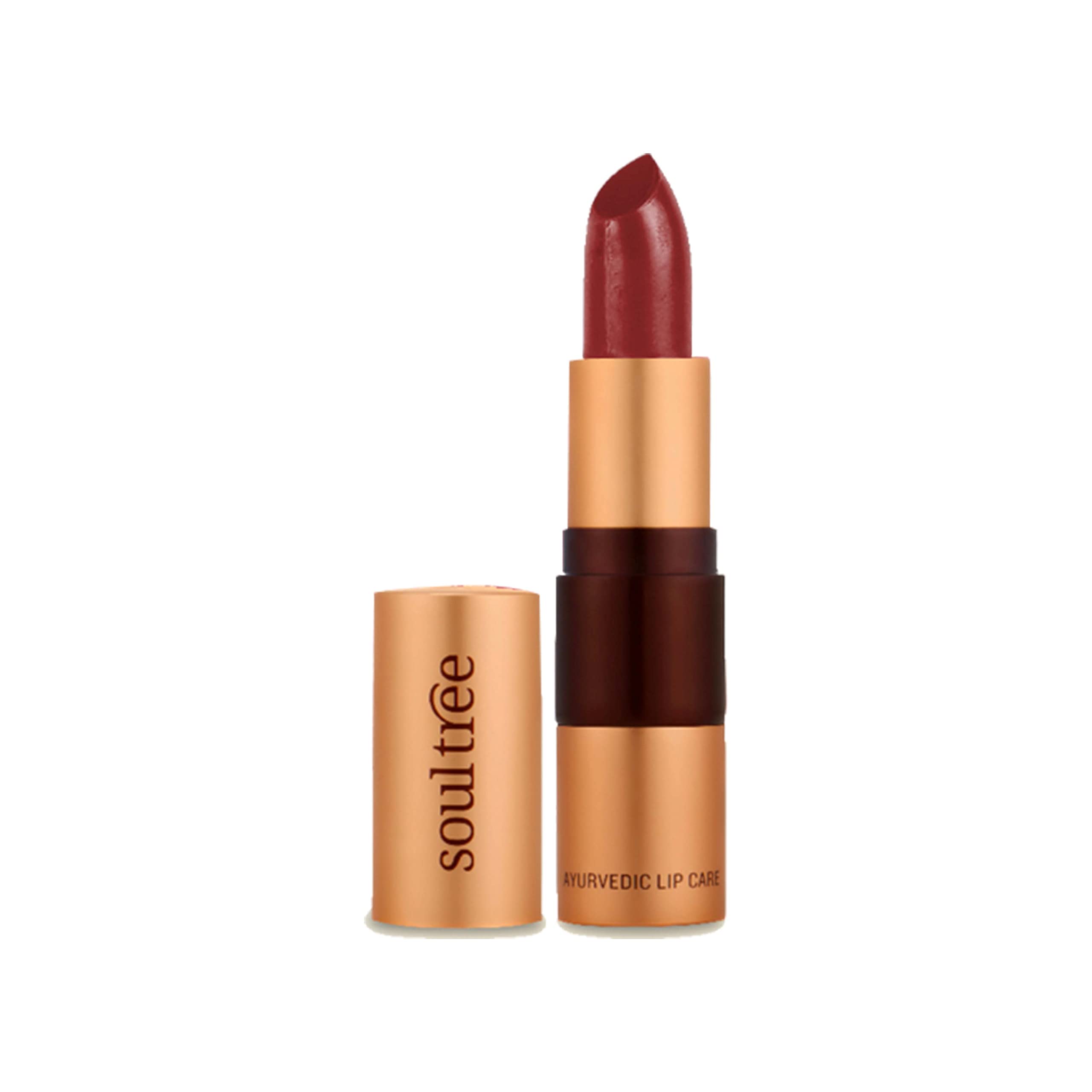SoulTree Ayurvedic Lipstick - Java Brown 810, 4gm