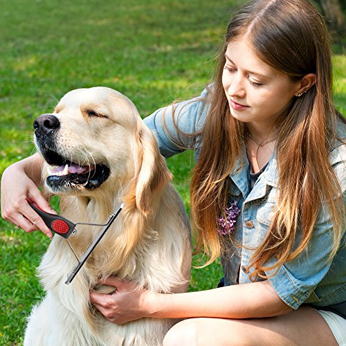 image for BOIFUN Pet Grooming Combs, Professional Dog Brushes for Loose Shedding